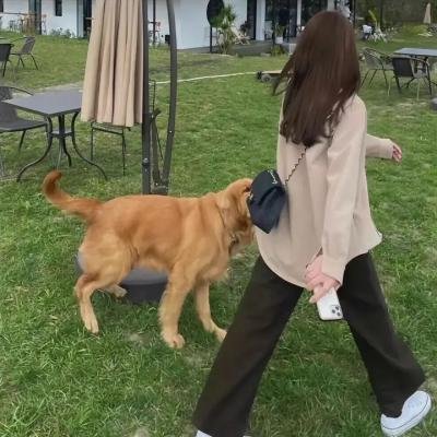 下流世界